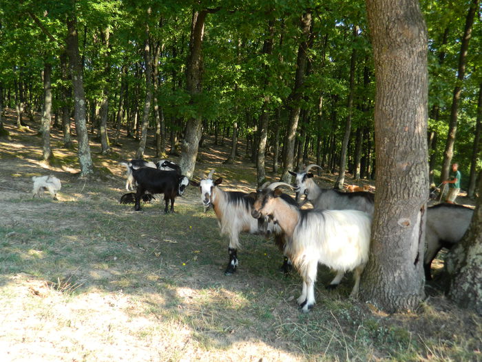 DSCN4977 - 2015_MARCA_2