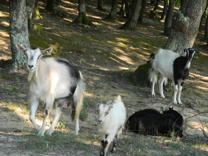 DSCN4978 - 2015_MARCA_2