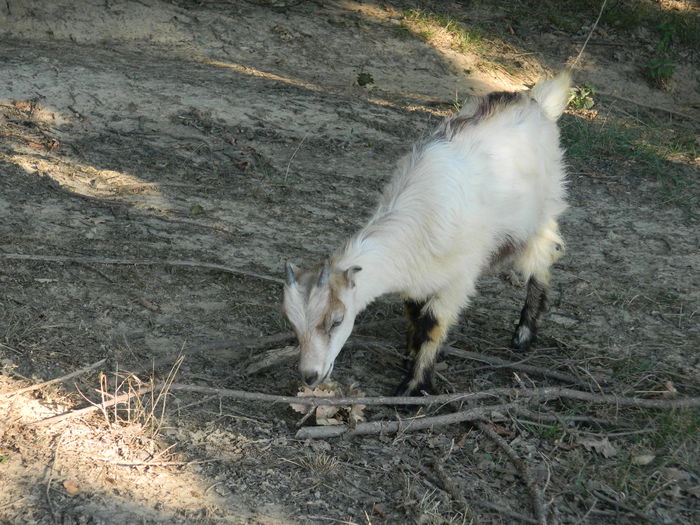 DSCN4979 - 2015_MARCA_2