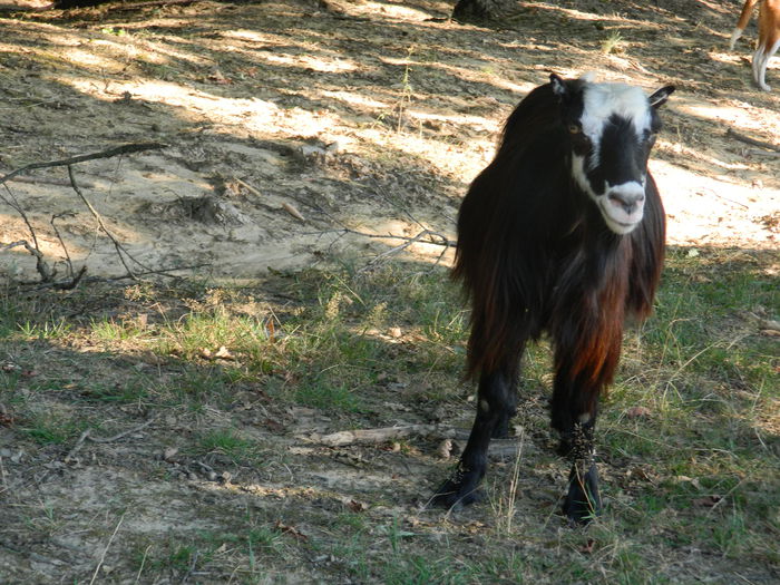 DSCN4980 - 2015_MARCA_2