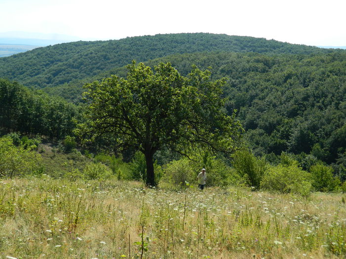 DSCN4982 - 2015_MARCA_2
