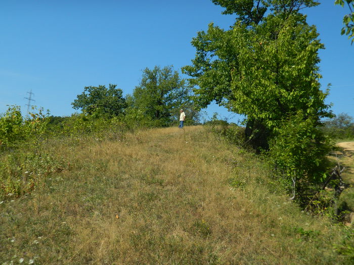 DSCN4986 - 2015_MARCA_2