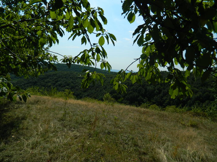 DSCN4987 - 2015_MARCA_2