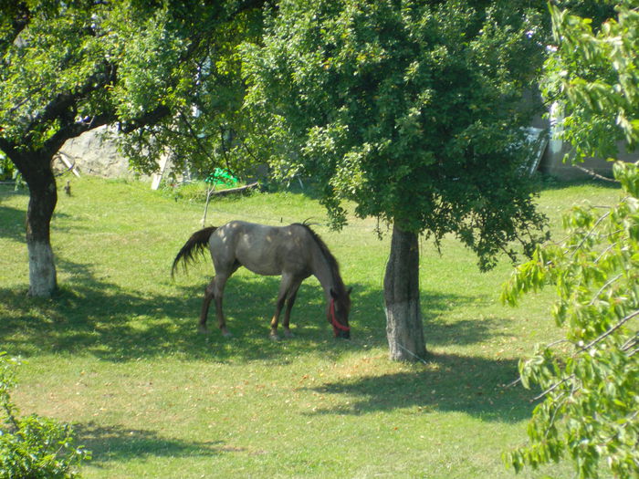 DSCN4989 - 2015_MARCA_2