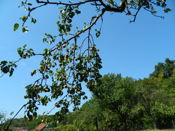 DSCN4998 - 2015_MARCA_2