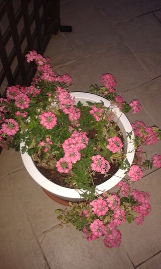 20150907_200154 - Evia