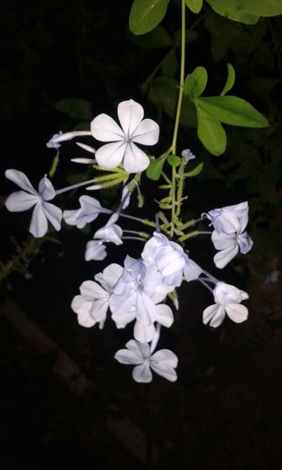 20150907_200051 - Evia