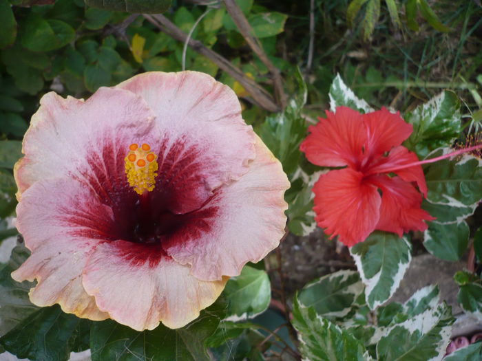 P1230970