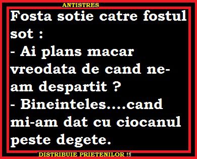 sinceritatea-fostului-sot_f54955e00e8adb