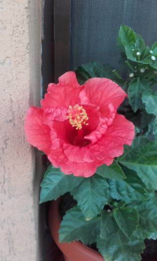 20150907_193929 - hibi 2015
