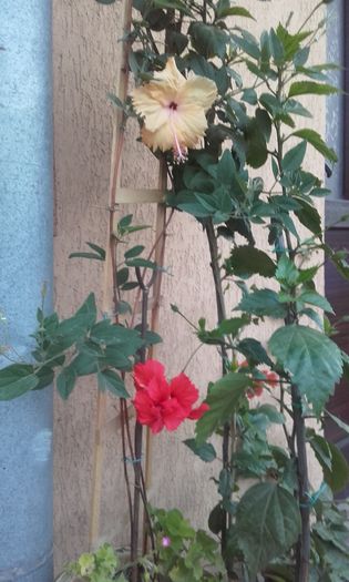 20150907_194035