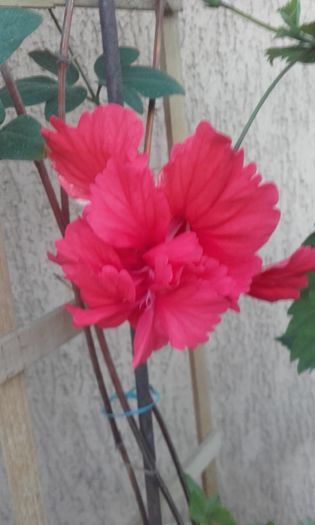 20150907_194023