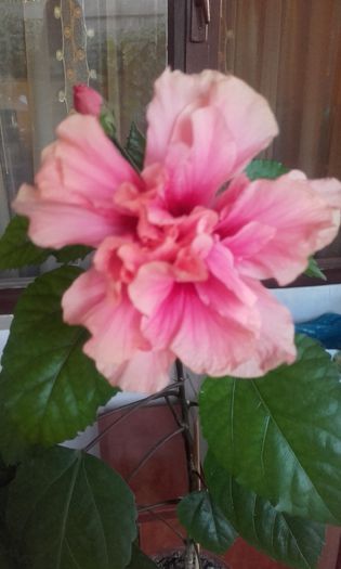 20150908_190215