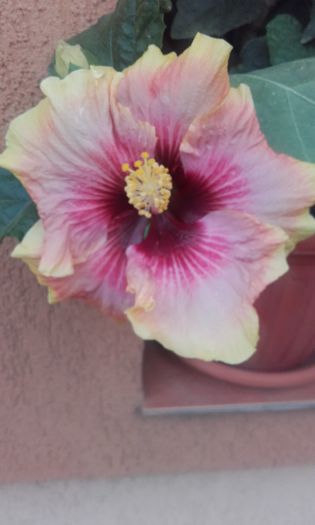 20150909_182456