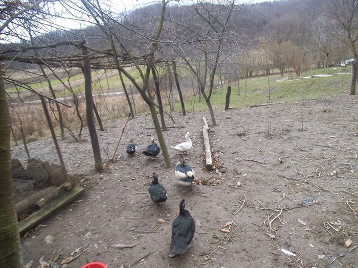 10931508_325012071030414_5001279090337754218_n