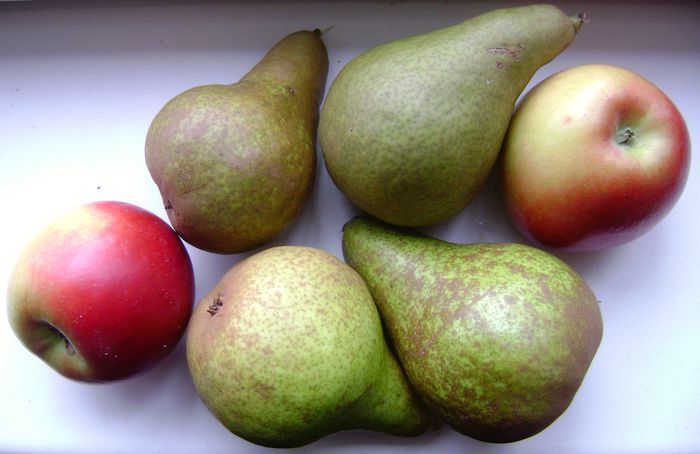 Fructe Mere Pere Bogdan Covrig - Fructe primite