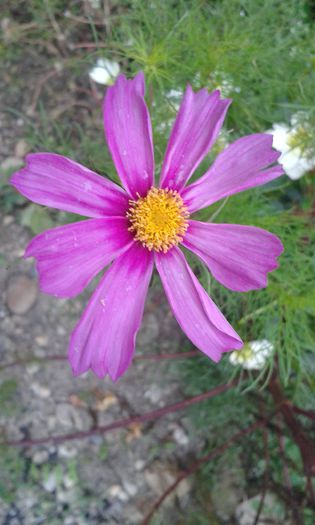 20150910_083542 - martori  in timp