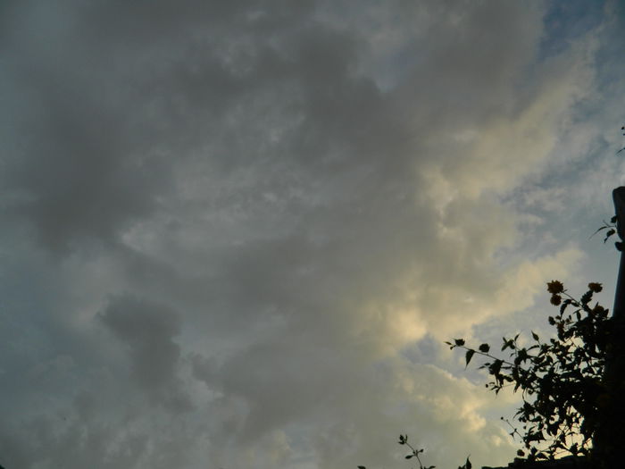 DSCN7484