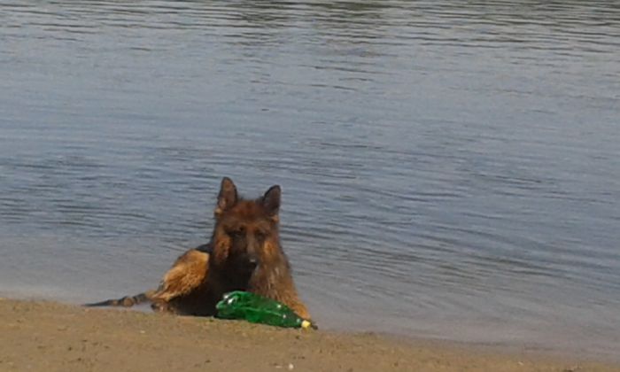 20150712_161214 - paznicul casei