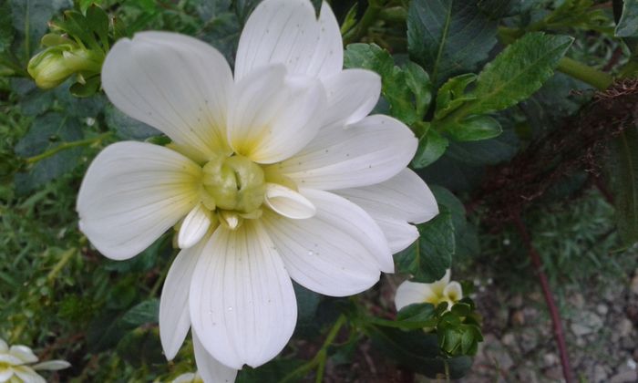 20150910_083554 - dragostea  de natura