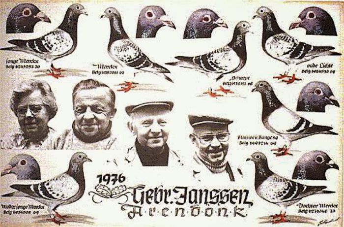 janssen - contact