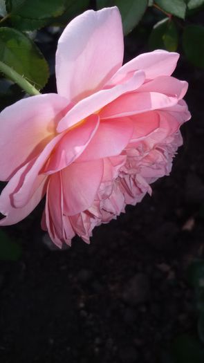 20150907_175335 - Abraham Darby