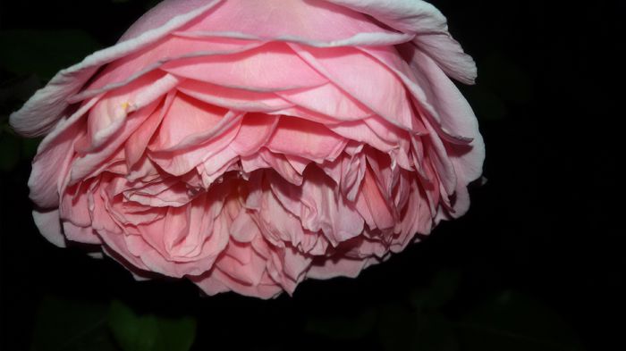 20150908_211859 - Abraham Darby