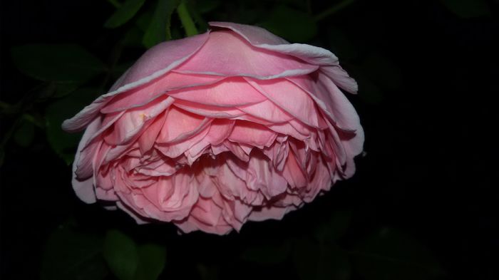 20150908_211902 - Abraham Darby