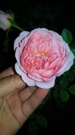 20150908_211915 - Abraham Darby