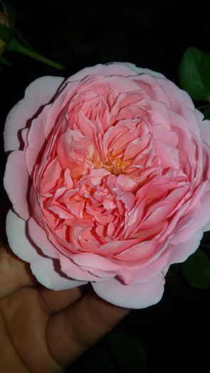 20150908_211918 - Abraham Darby