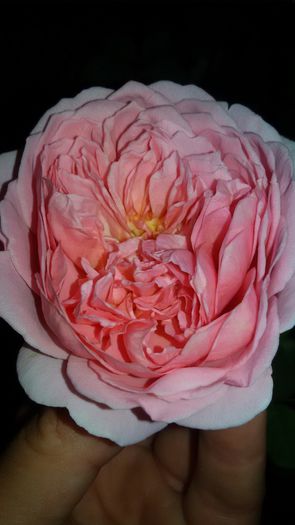 20150908_211924 - Abraham Darby