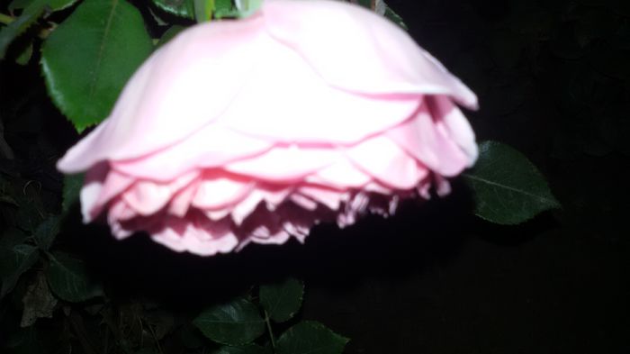 20150908_211851 - Abraham Darby