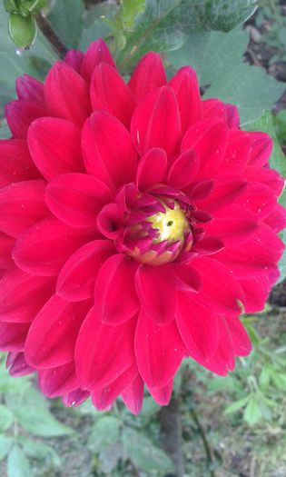 20150910_083453 - dragostea  de natura