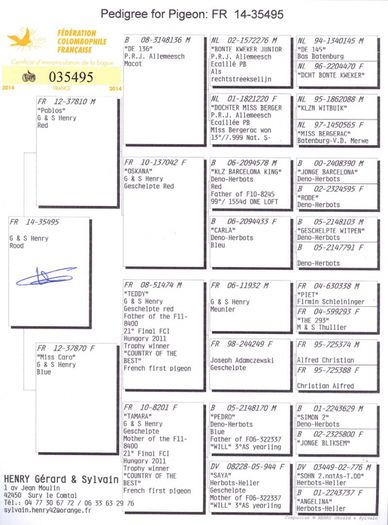 35495-14 M_p - Porumbei vanduti