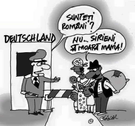 11041216_1014947061869513_5253968309067888294_n