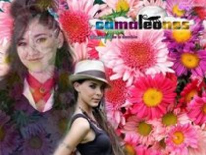 10323559_JHXKOAPZE - Cameleones