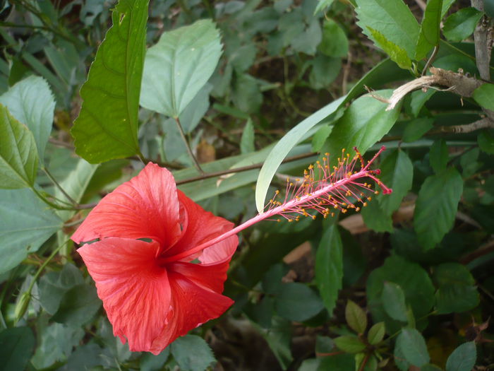 P1240008