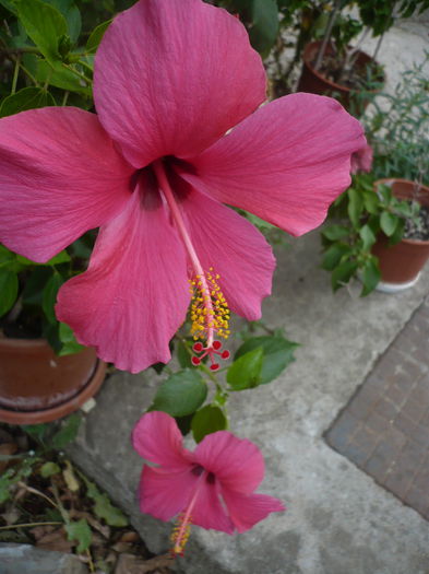 P1240011