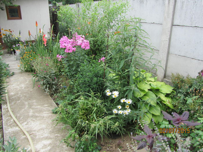 Gradina iulie (2) - b Vara