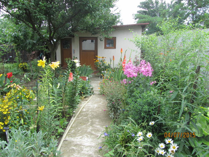 Gradina iulie (9) - b Vara