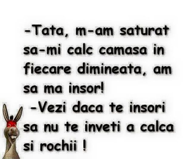 1520672_826873034027750_6287016002012006489_n