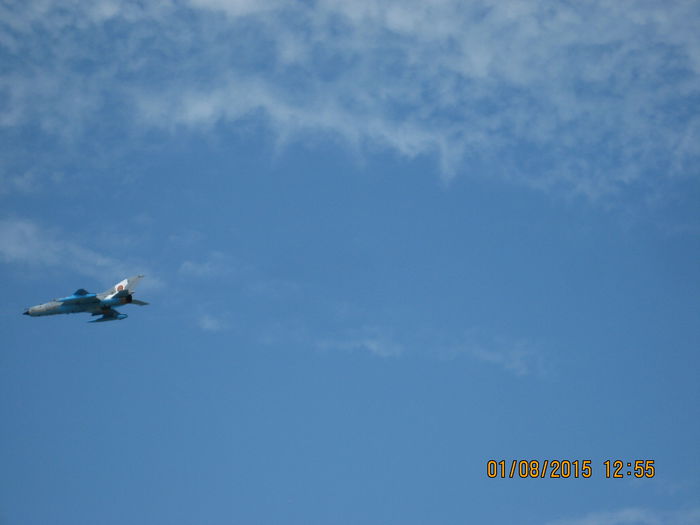 Picture 3964