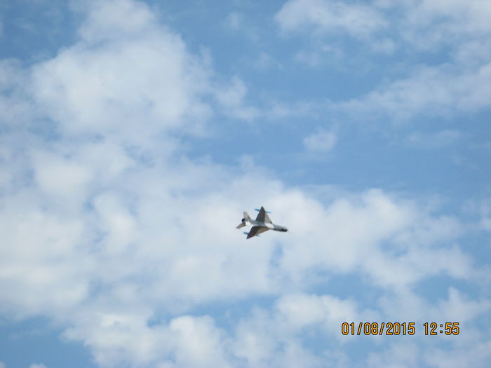 Picture 3965