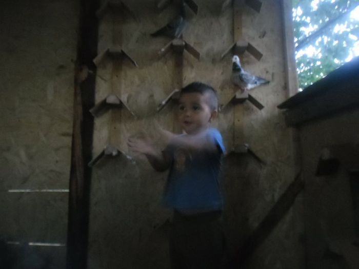 Fratiorul meu #Iustin