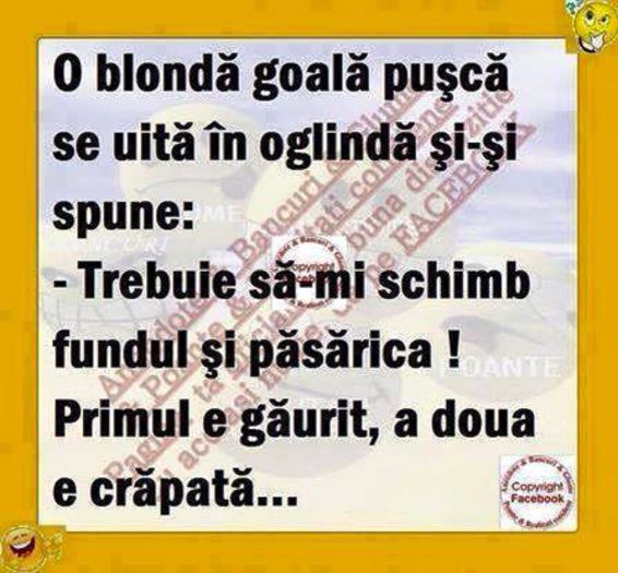 10689501_806435836071470_4401737328040560336_n - Diverse