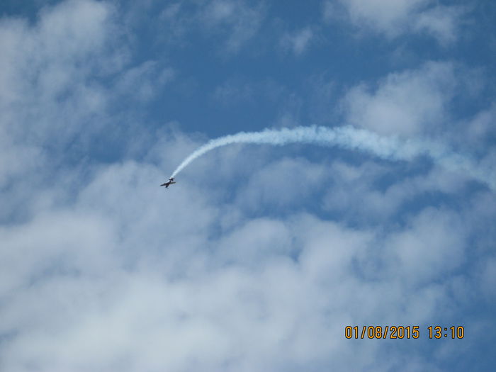 Picture 3970