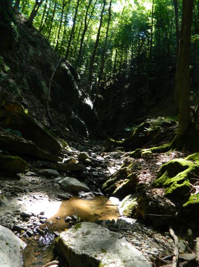 DSCN5102 - 2015_MARCA_2