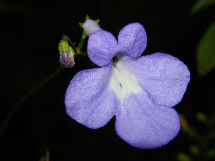 DSCN7576