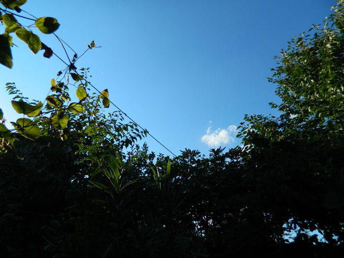 DSCN7598