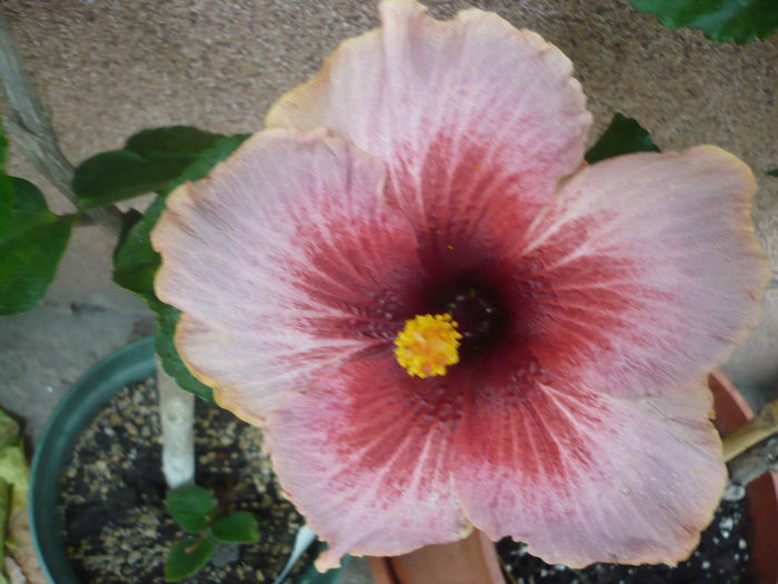 P1240015